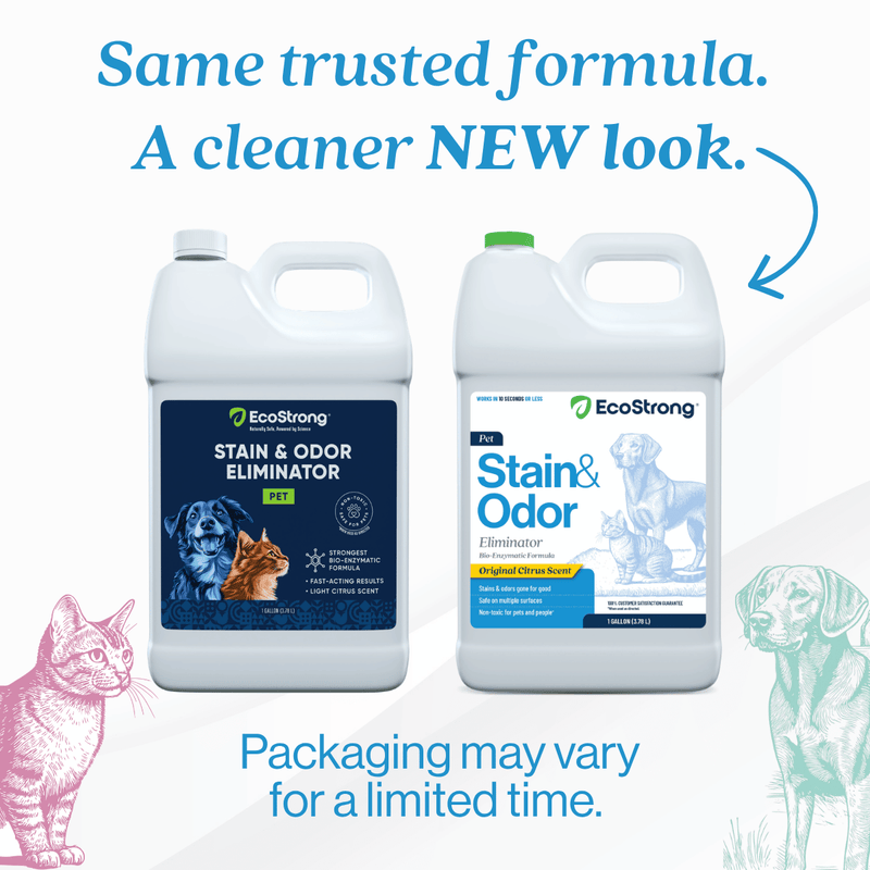 EcoStrong Pet Stain and Odor Eliminator Pet & Animal > Pet Stain & Odor White Smoke Citrus / 1 Gallon Jug,Citrus / 32 oz Sprayer Bottle and 1 Gallon Refill,Citrus / 32 oz Sprayer Bottle,Jasmine Bloom / 1 Gallon Jug,Jasmine Bloom / 32 oz Sprayer Bottle and 1 Gallon Refill,Jasmine Bloom / 32 oz Sprayer Bottle,Santal Woods / 1 Gallon Jug,Sa