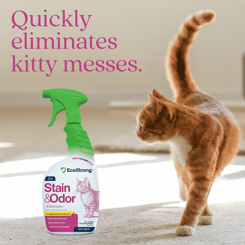 EcoStrong Cat Stain and Odor Eliminator Pet & Animal > Cat Stain & Odor Gray 1 Gallon Jug,32 oz Sprayer,32 oz Sprayer Bottle and 1 Gallon Refill