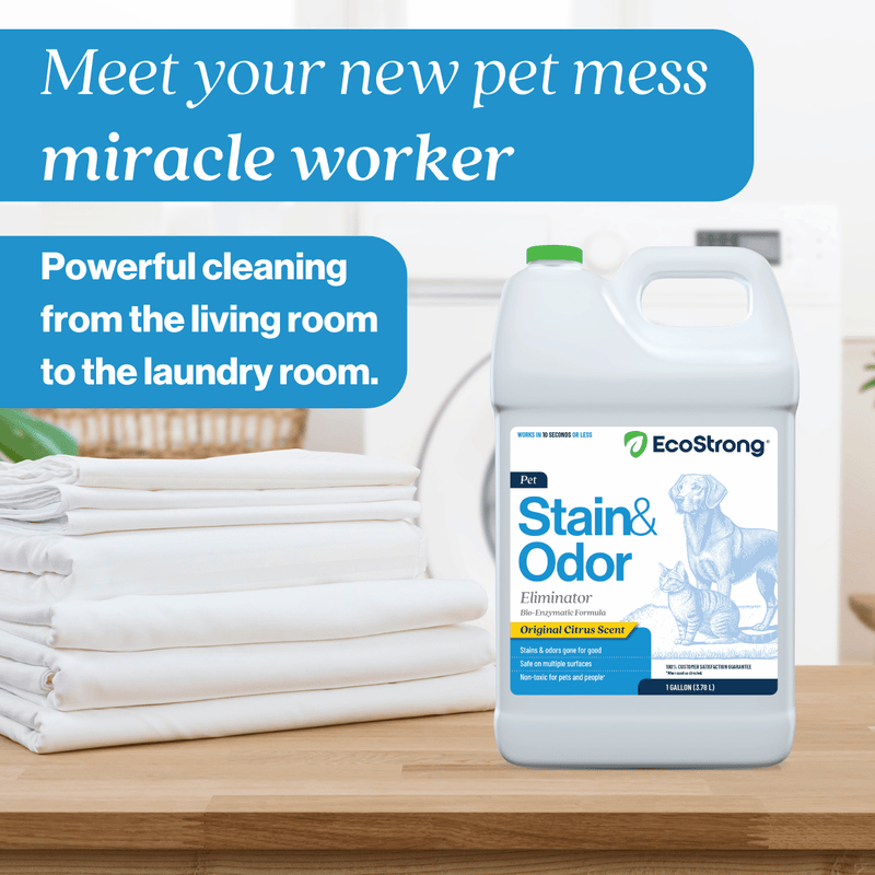 EcoStrong Pet Stain and Odor Eliminator Pet & Animal > Pet Stain & Odor Lavender Citrus / 1 Gallon Jug,Citrus / 32 oz Sprayer Bottle and 1 Gallon Refill,Citrus / 32 oz Sprayer Bottle,Jasmine Bloom / 1 Gallon Jug,Jasmine Bloom / 32 oz Sprayer Bottle and 1 Gallon Refill,Jasmine Bloom / 32 oz Sprayer Bottle,Santal Woods / 1 Gallon Jug,Sa