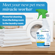 EcoStrong Pet Stain and Odor Eliminator Pet & Animal > Pet Stain & Odor Lavender Citrus / 1 Gallon Jug,Citrus / 32 oz Sprayer Bottle and 1 Gallon Refill,Citrus / 32 oz Sprayer Bottle,Jasmine Bloom / 1 Gallon Jug,Jasmine Bloom / 32 oz Sprayer Bottle and 1 Gallon Refill,Jasmine Bloom / 32 oz Sprayer Bottle,Santal Woods / 1 Gallon Jug,Sa