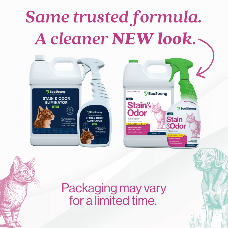 EcoStrong Cat Stain and Odor Eliminator Pet & Animal > Cat Stain & Odor White Smoke 1 Gallon Jug,32 oz Sprayer,32 oz Sprayer Bottle and 1 Gallon Refill