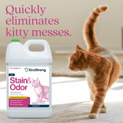 EcoStrong Cat Stain and Odor Eliminator Pet & Animal > Cat Stain & Odor White Smoke 1 Gallon Jug,32 oz Sprayer,32 oz Sprayer Bottle and 1 Gallon Refill