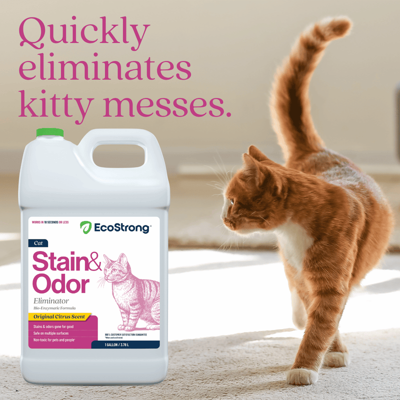 EcoStrong Cat Stain and Odor Eliminator Pet & Animal > Cat Stain & Odor White Smoke 1 Gallon Jug,32 oz Sprayer,32 oz Sprayer Bottle and 1 Gallon Refill
