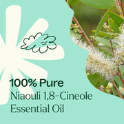 Plant Therapy Niaouli 1,8-Cineole Essential Oil Essential Oil Powder Blue 10 mL,30 mL