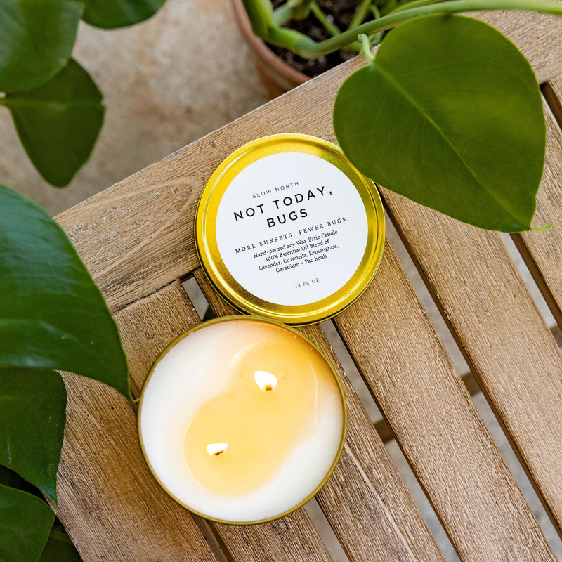 Slow North Not Today, Bugs - Mosquito Candle Patio Candle Rosy Brown