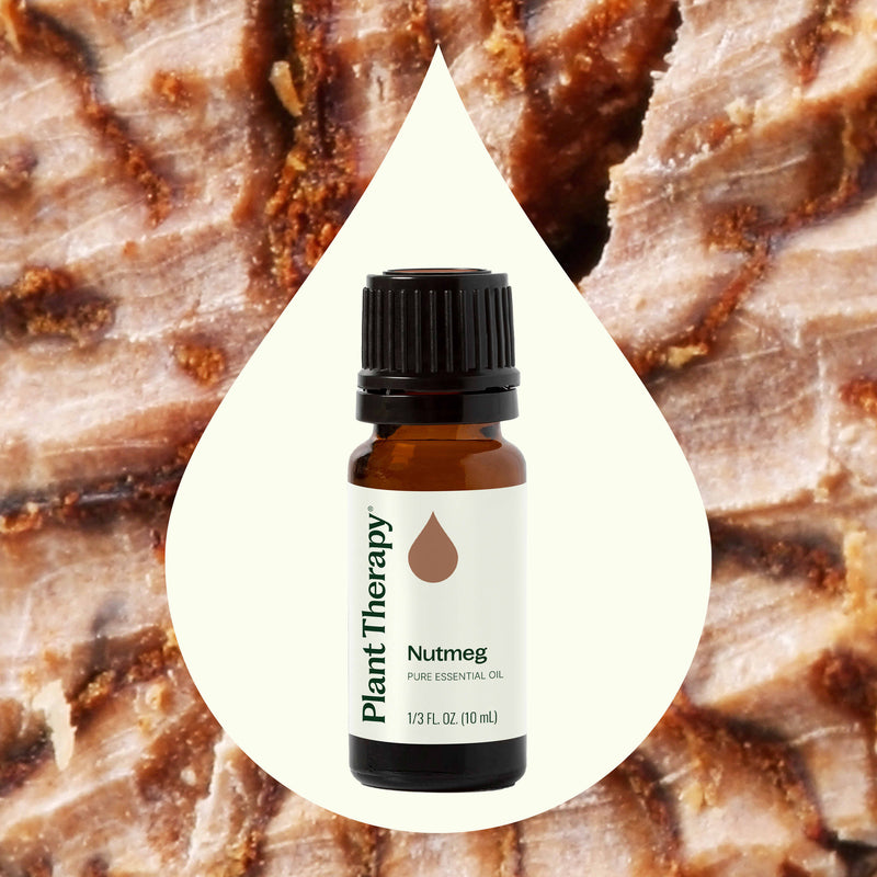 Plant Therapy Nutmeg Essential Oil Essential Oil Seashell 10 mL