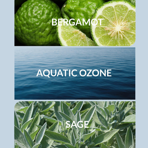 Aroma360 Ocean Eyes Oil Dim Gray Pro-Pod™ / 30mL,Regular / 20mL,Regular / 30mL,Regular / 120mL,Regular / 200mL,Regular / 500mL