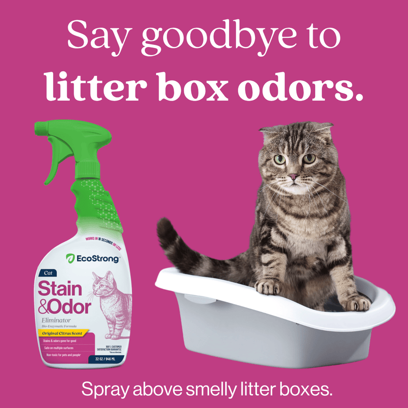 EcoStrong Cat Stain and Odor Eliminator Pet & Animal > Cat Stain & Odor Violet Red 1 Gallon Jug,32 oz Sprayer,32 oz Sprayer Bottle and 1 Gallon Refill