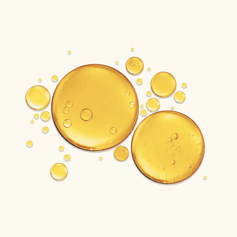 Gleamin Supernutrient Oil Face Oil Seashell