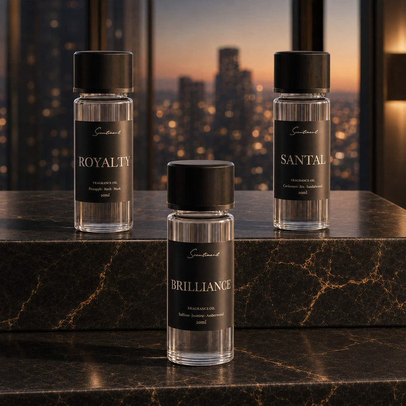 Scentiment Designer Scents Discovery Set Fragrance Oil Black Top 3,Top 5