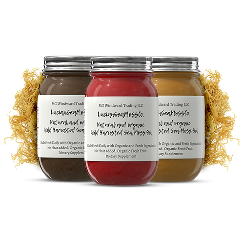 MG Windward Trading LLC Omega 3 Infused Organic Sea Moss Gel Herbal Gel Gray 8 oz. / No Fruit or Agave,8 oz. / Strawberry and Agave,8 oz. / Mango and Agave,8 oz. / Elderberry Ginger and Agave,8 oz. / Pineapple and Agave,8 oz. / Peach and Agave,8 oz. / Blueberry and Agave,16 oz. / No Fruit or Agave,16 oz. / Strawberry and Agave,16