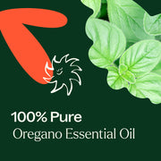 Plant Therapy Oregano Essential Oil Essential Oil Dark Green 10 mL,30 mL
