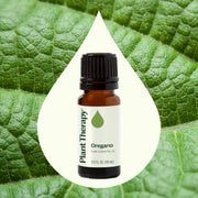 Plant Therapy Oregano Essential Oil Essential Oil Seashell 10 mL,30 mL