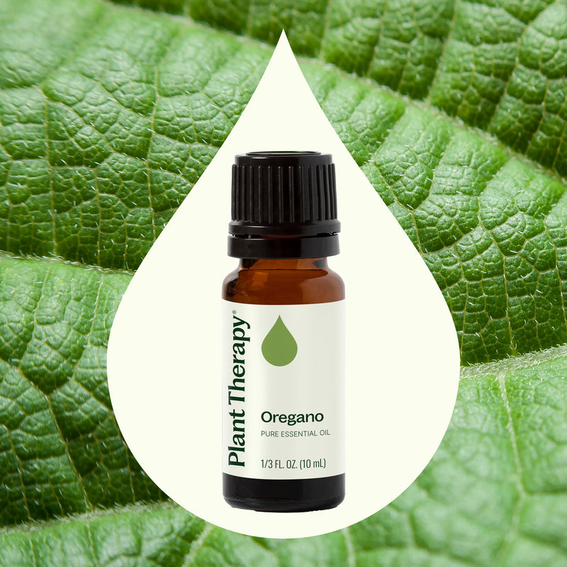 Plant Therapy Oregano Essential Oil Essential Oil Seashell 10 mL,30 mL