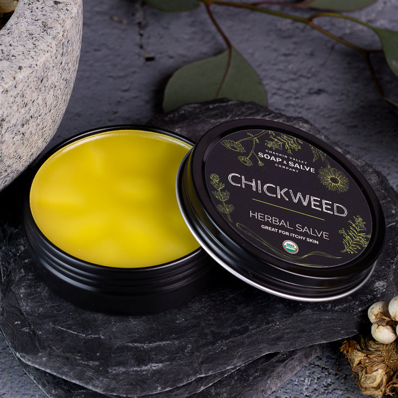 Chagrin Valley Soap & Salve Salve: Chickweed Healing Salve Dark Slate Gray 2 fl oz Tin,1 fl oz Tin