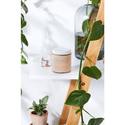Butter Me Up Organics Organic Deodorant / Sensitive 1/2 & 1/2 Deodorant / Organic Deodorant Body Lavender 2,4