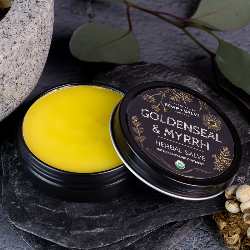 Chagrin Valley Soap & Salve Salve: Goldenseal & Myrrh Healing Salve Black 2 fl oz Tin,1 fl oz Tin
