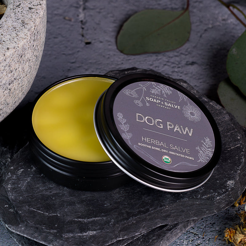 Chagrin Valley Soap & Salve Salve: Dog Paw Pets Dark Slate Gray 2 fl oz Tin,1 fl oz Tin