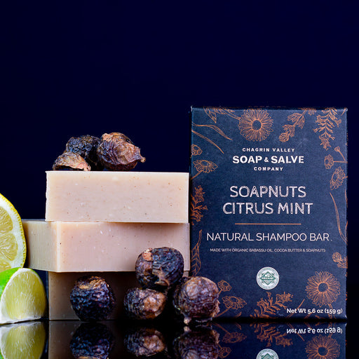 Chagrin Valley Soap & Salve Shampoo Bar: Soapnuts Citrus Mint Shampoo Bar Black Full Bar 5.6 oz.,Travel Size Bar 1.7 oz