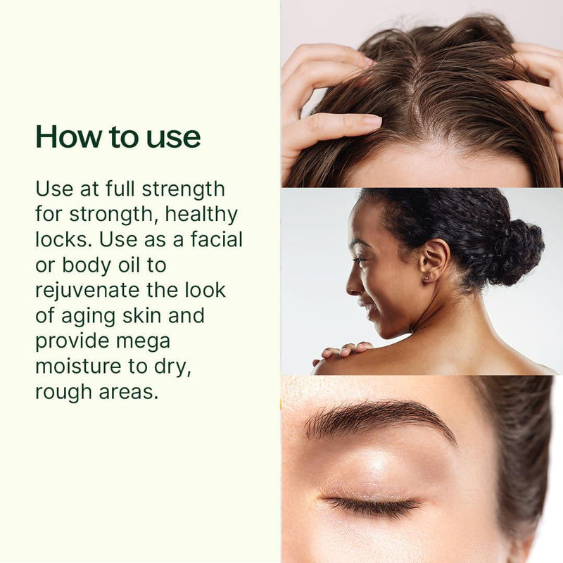 Plant Therapy Organic Argan Carrier Oil Body Care Seashell 16 oz