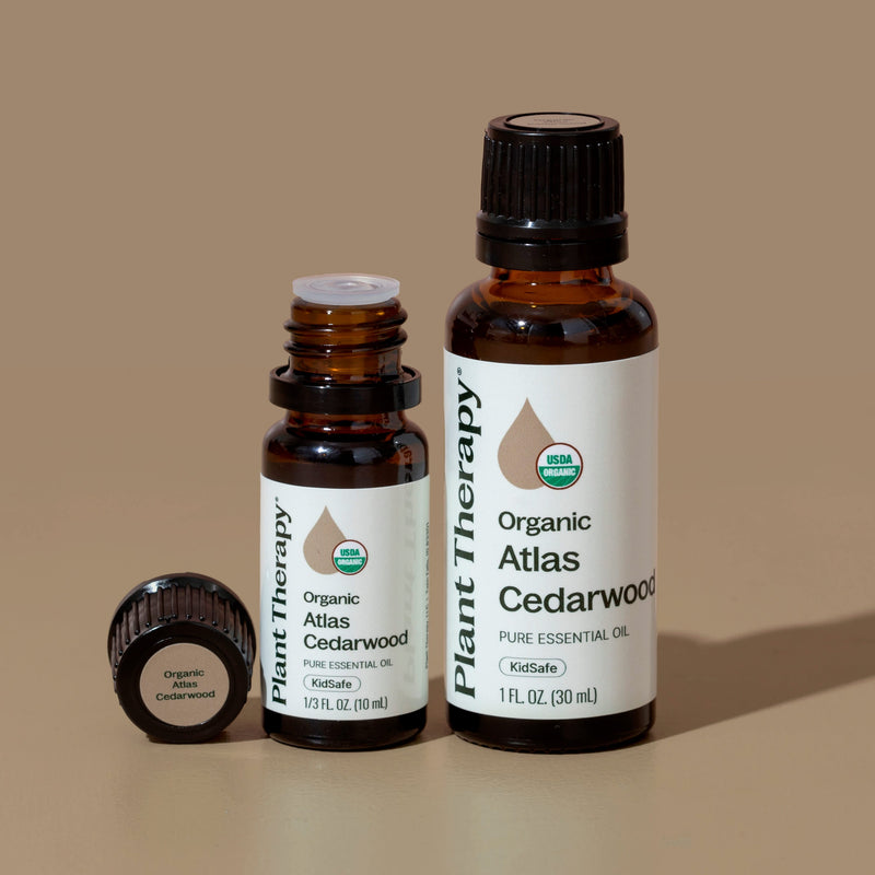 Plant Therapy Organic Atlas Cedarwood Essential Oil Essential Oil Rosy Brown 10 mL,30 mL