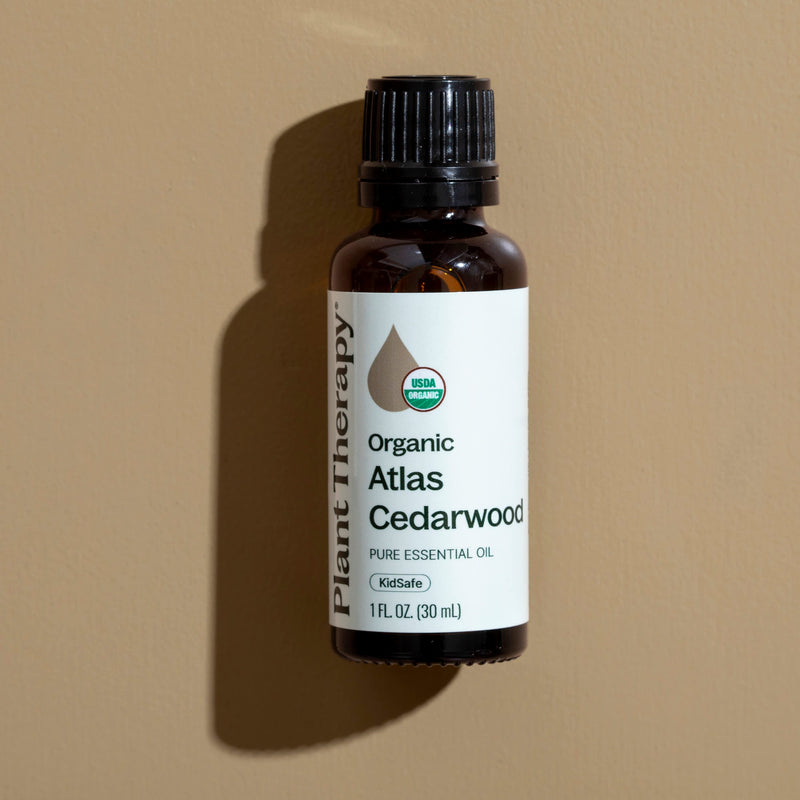 Plant Therapy Organic Atlas Cedarwood Essential Oil Essential Oil Dark Slate Gray 10 mL,30 mL
