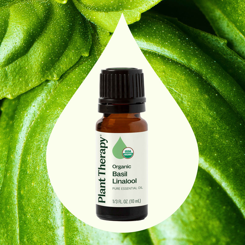 Plant Therapy Organic Basil Linalool Essential Oil Essential Oil Seashell 10 mL