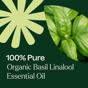 Plant Therapy Organic Basil Linalool Essential Oil Essential Oil Dark Green 10 mL
