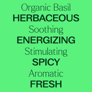 Plant Therapy Organic Basil Linalool Essential Oil Essential Oil Light Green 10 mL
