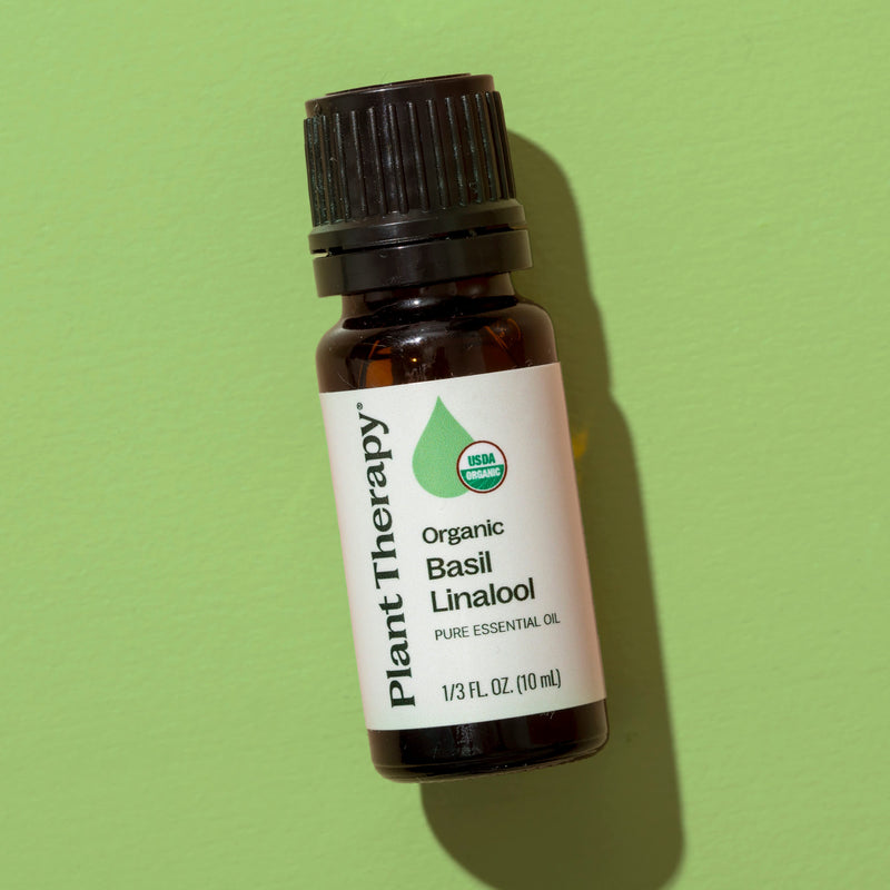 Plant Therapy Organic Basil Linalool Essential Oil Essential Oil Dark Olive Green 10 mL