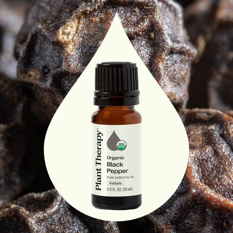 Plant Therapy Organic Black Pepper Essential Oil Essential Oil Seashell 10 mL