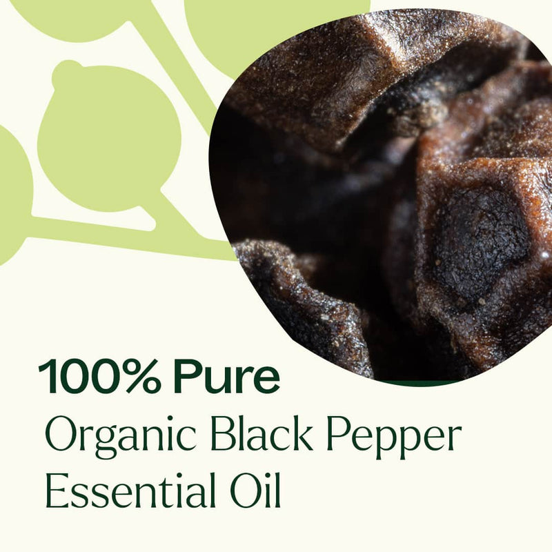 Plant Therapy Organic Black Pepper Essential Oil Essential Oil White Smoke 10 mL