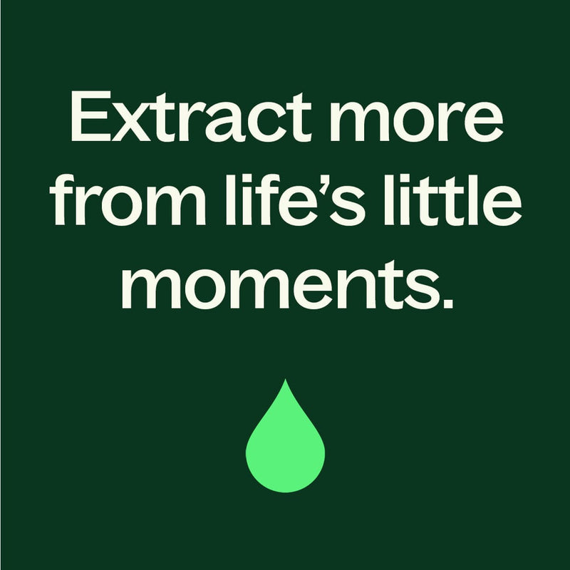 Plant Therapy Organic Black Pepper Essential Oil Essential Oil Dark Green 10 mL