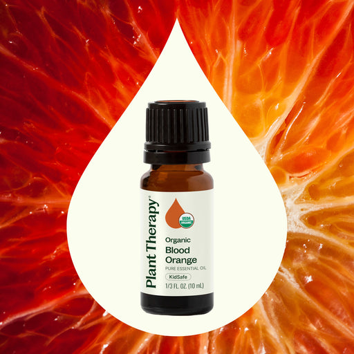 Plant Therapy Organic Blood Orange Essential Oil Essential Oil Seashell 10 mL