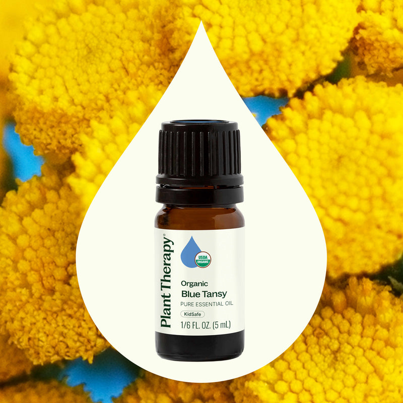 Plant Therapy Organic Blue Tansy Essential Oil Essential Oil Seashell 2.5 mL,5 mL