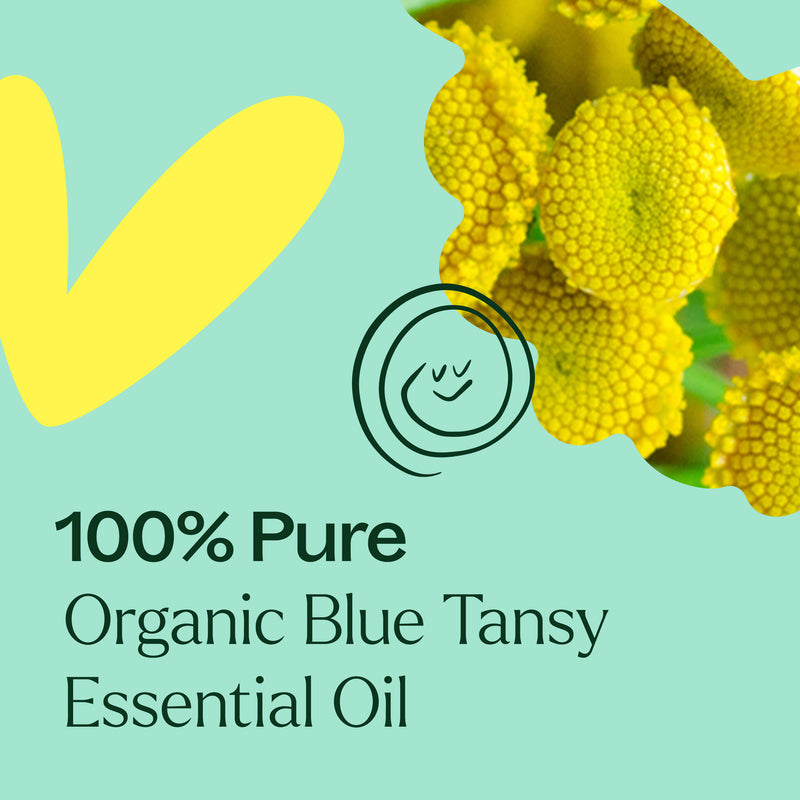 Plant Therapy Organic Blue Tansy Essential Oil Essential Oil Powder Blue 2.5 mL,5 mL