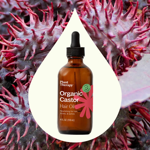 Plant Therapy Organic Castor Oil Hair & Skin Care Sienna 4 oz