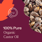 Plant Therapy Organic Castor Carrier Oil Body Care Brown 16 oz,32 oz