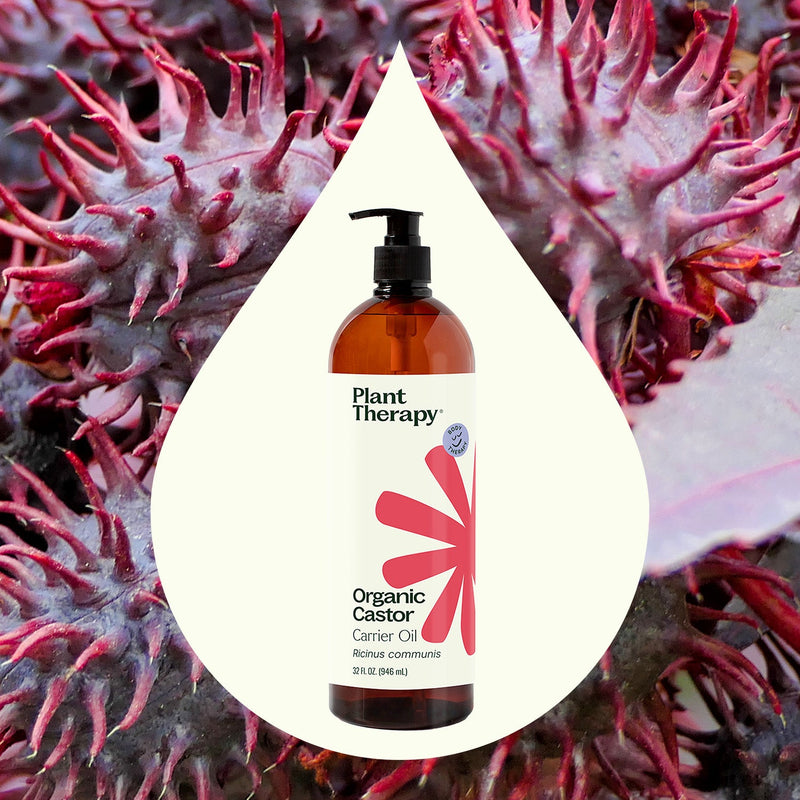 Plant Therapy Organic Castor Carrier Oil Body Care Seashell 16 oz,32 oz