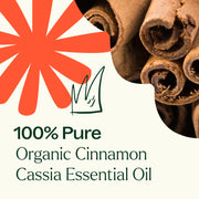 Plant Therapy Organic Cinnamon Cassia Essential Oil Essential Oil Seashell 10 mL