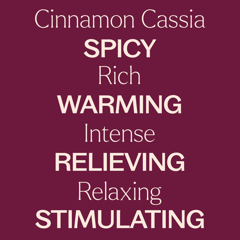 Plant Therapy Organic Cinnamon Cassia Essential Oil Essential Oil Brown 10 mL