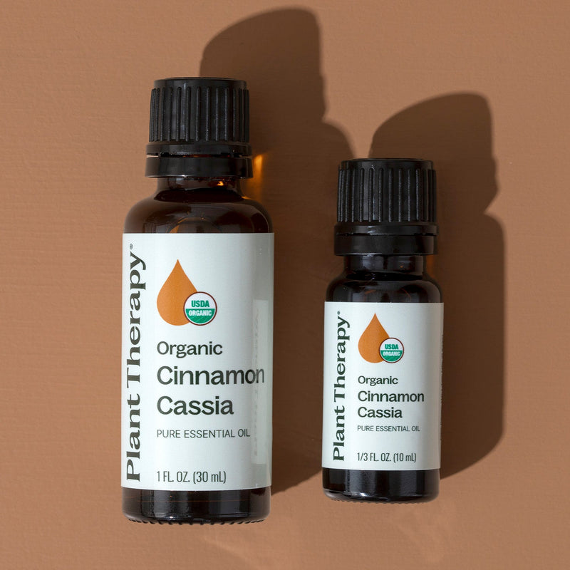Plant Therapy Organic Cinnamon Cassia Essential Oil Essential Oil Sienna 10 mL