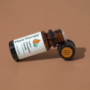 Plant Therapy Organic Cinnamon Cassia Essential Oil Essential Oil Sienna 10 mL