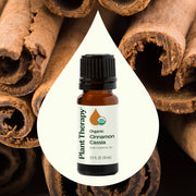 Plant Therapy Organic Cinnamon Cassia Essential Oil Essential Oil Seashell 10 mL