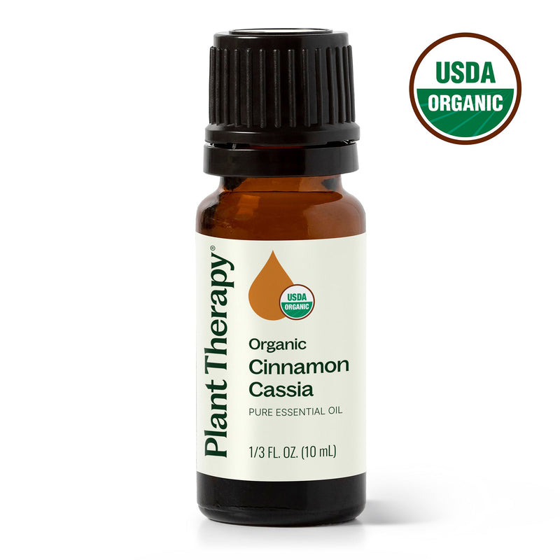 Plant Therapy Organic Cinnamon Cassia Essential Oil Essential Oil White Smoke 10 mL