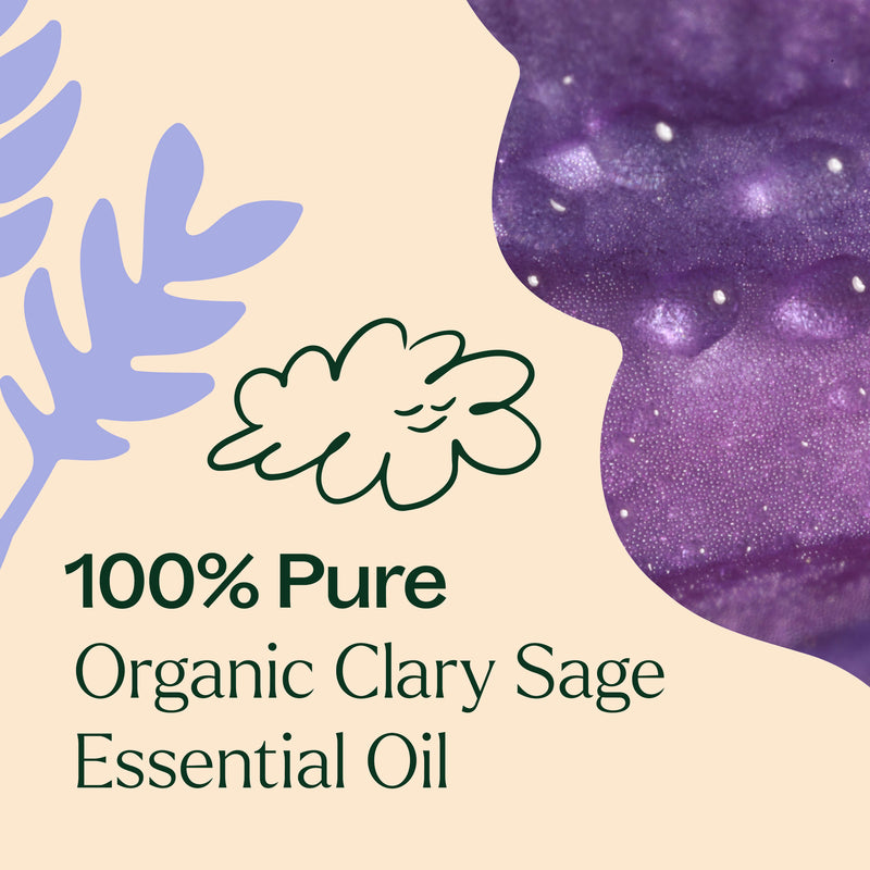 Plant Therapy Organic Clary Sage Essential Oil Essential Oil Bisque 10 mL