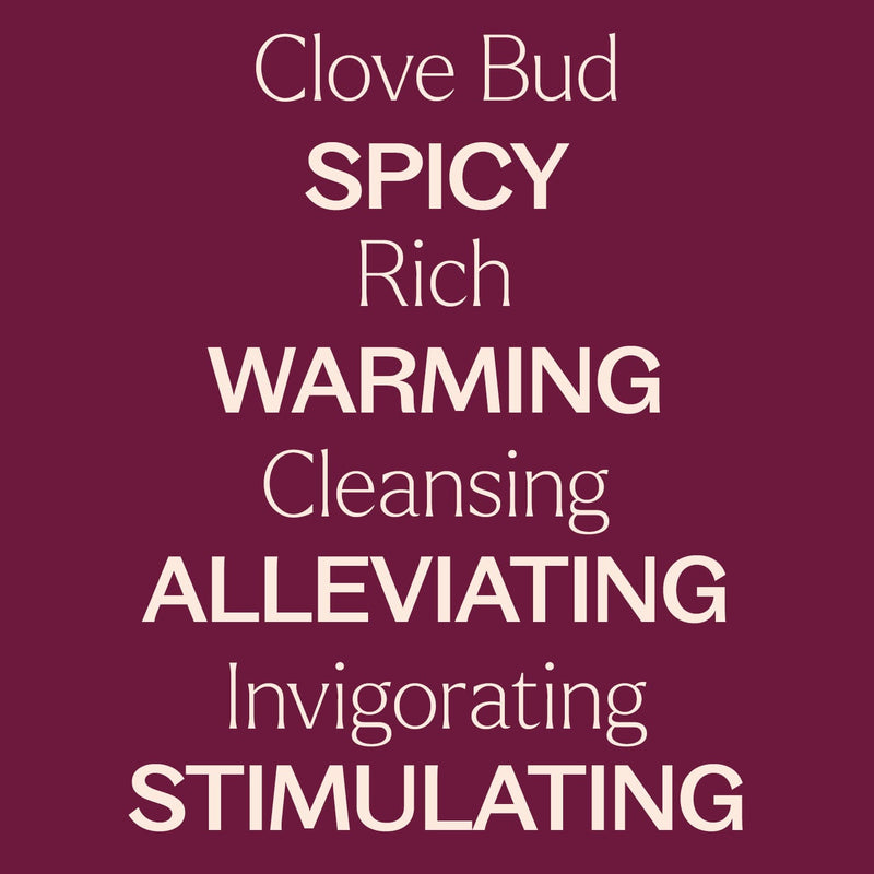 Plant Therapy Organic Clove Bud Essential Oil Essential Oil Brown 10 mL,30 mL
