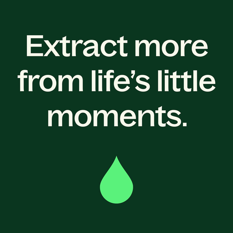 Plant Therapy Organic Clove Bud Essential Oil Essential Oil Dark Green 10 mL,30 mL