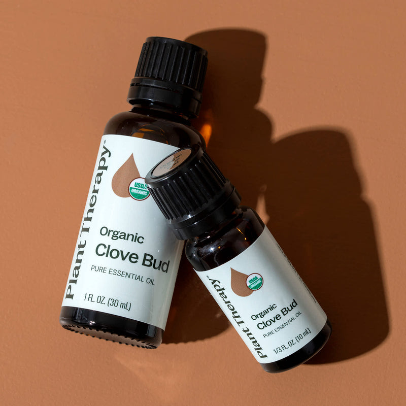 Plant Therapy Organic Clove Bud Essential Oil Essential Oil Rosy Brown 10 mL,30 mL