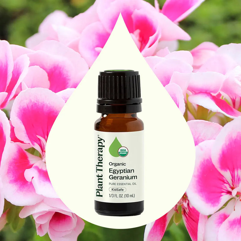 Plant Therapy Organic Egyptian Geranium Essential Oil Essential Oil Seashell 5 mL,10 mL